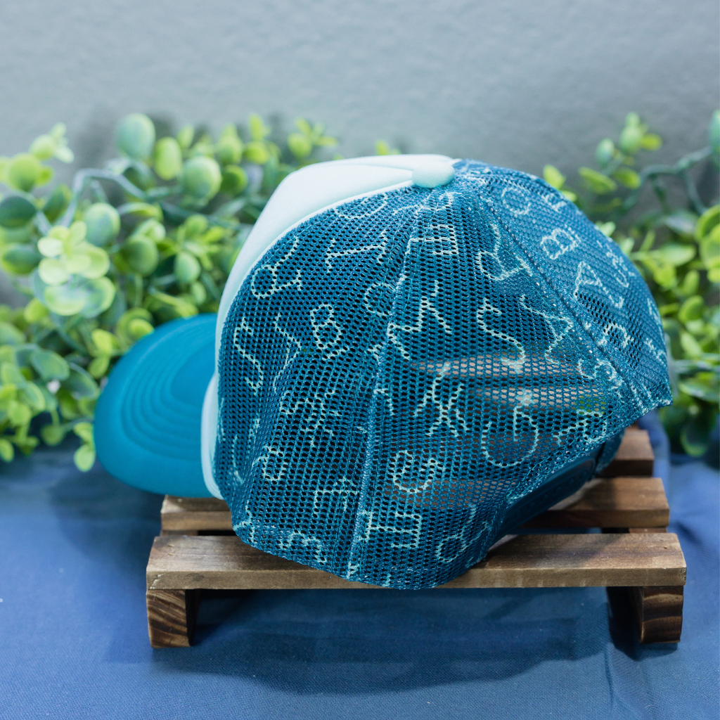 Teal Two Toned Brand Hat