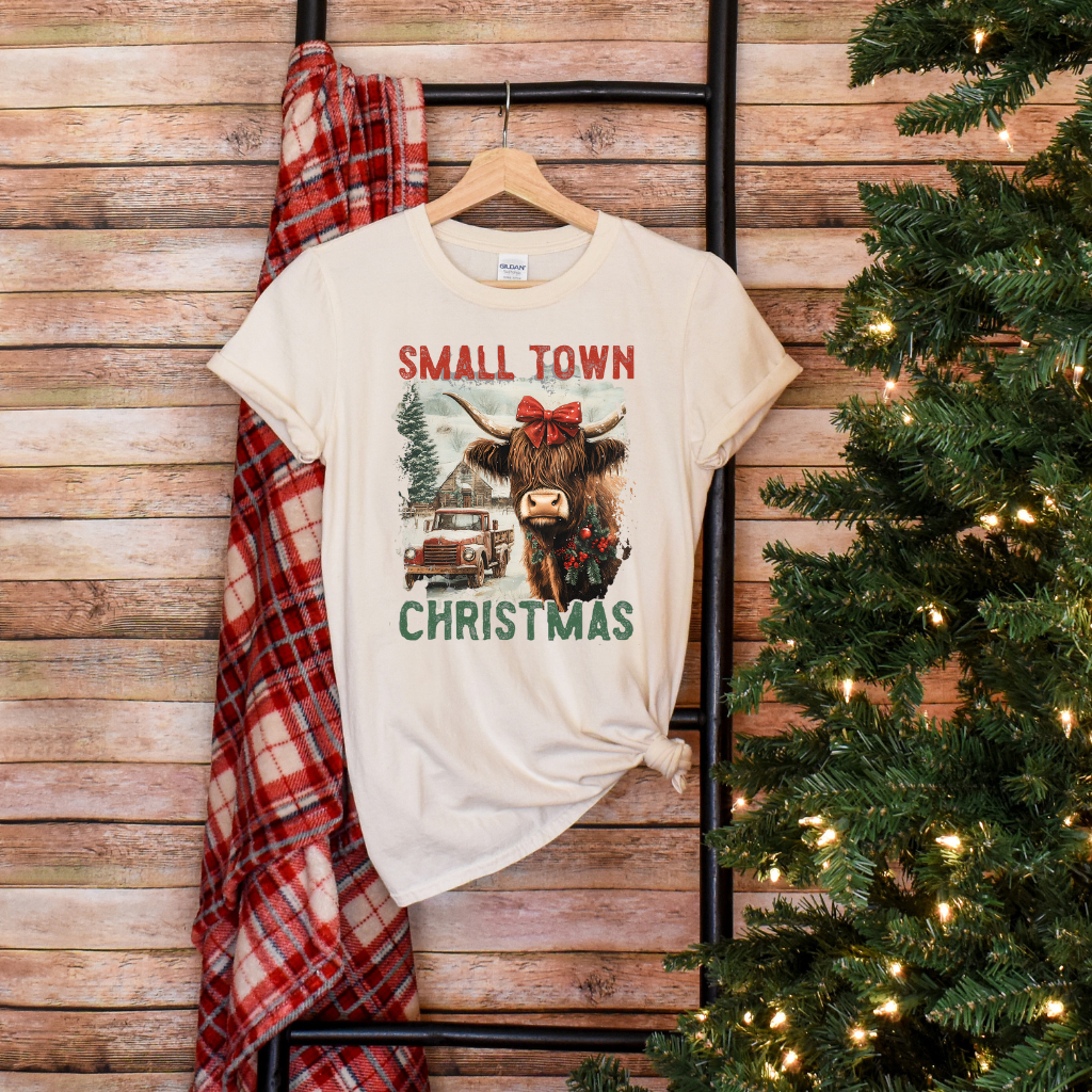 Small Town Christmas
